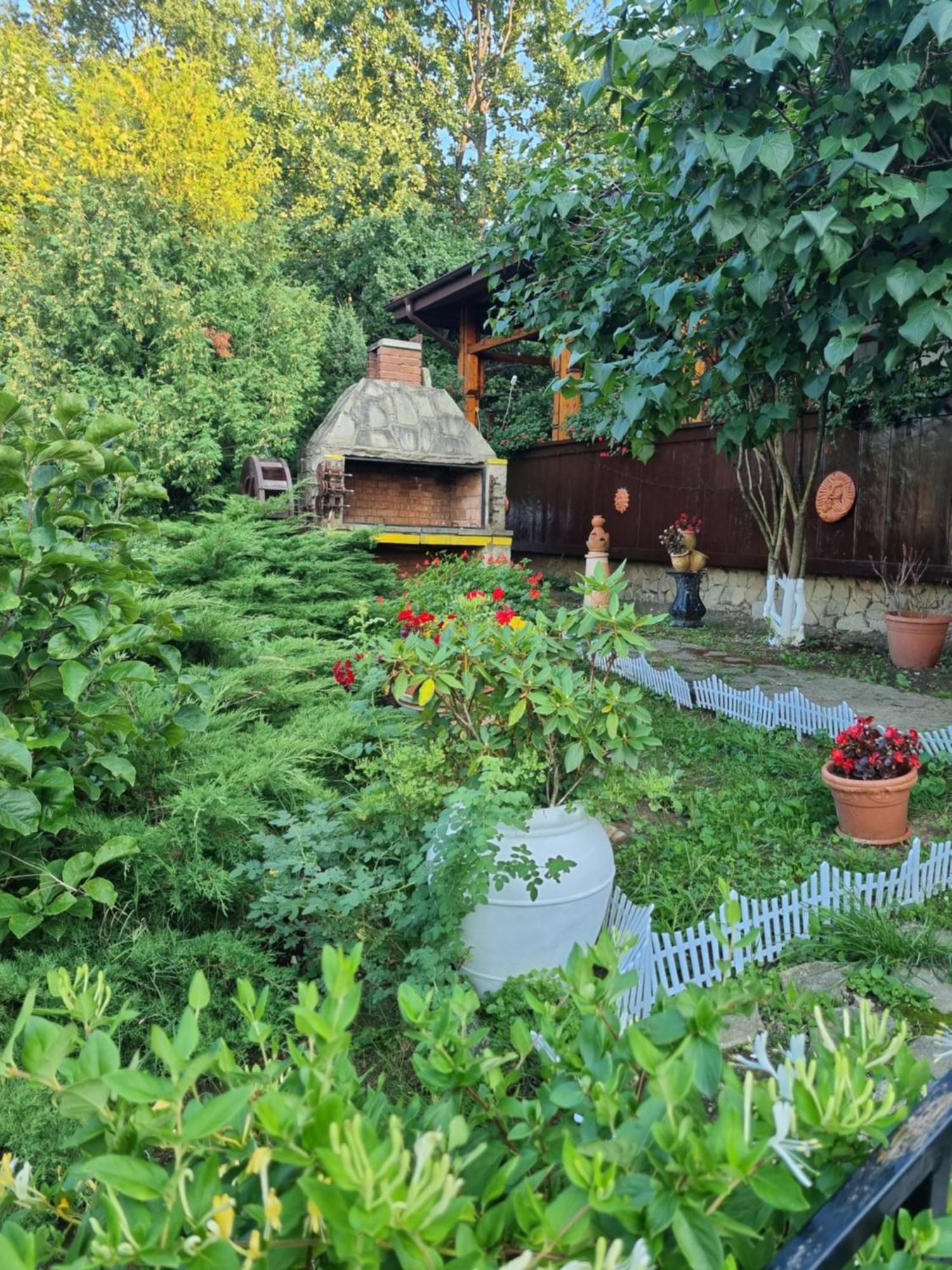 Casa Boiereasca Hotel Iasi Bagian luar foto