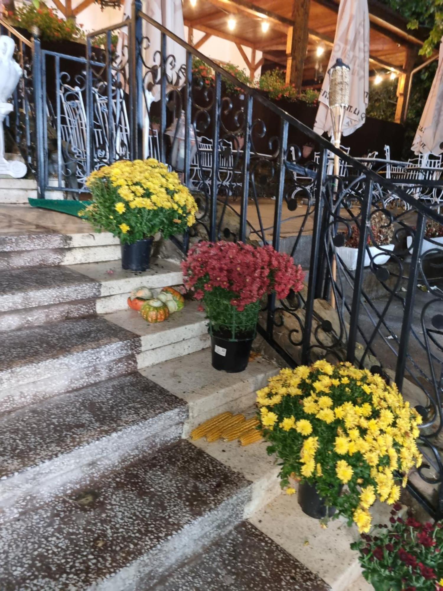 Casa Boiereasca Hotel Iasi Bagian luar foto