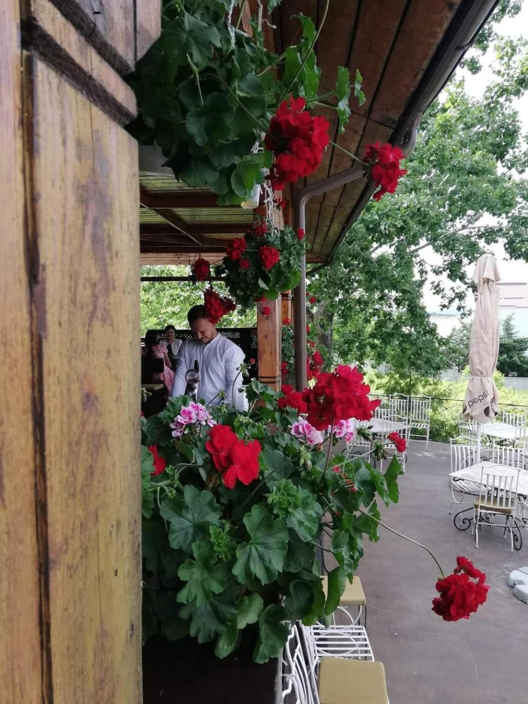 Casa Boiereasca Hotel Iasi Bagian luar foto